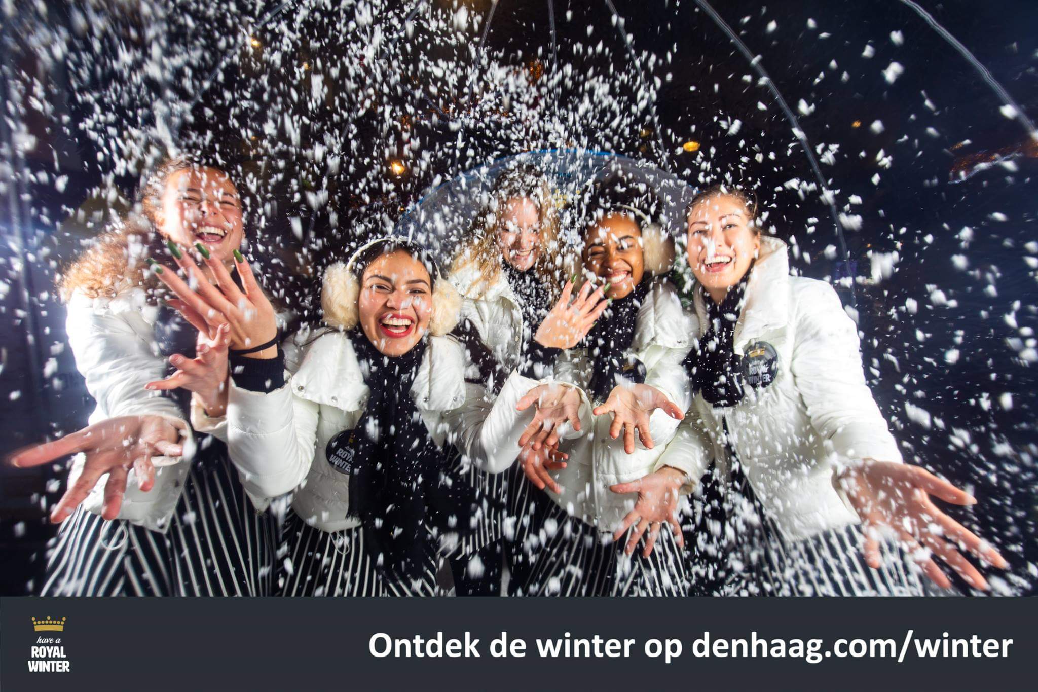 snowglobe den haag